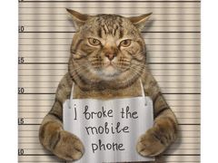 -板长寿司(铜锣湾店)