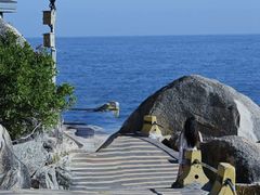 -广东惠东海龟国家级自然保护区