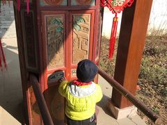 -杭州湾海上花田景区