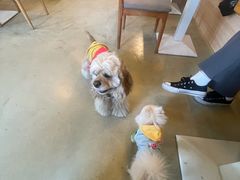 -小意思咖啡店(草桥店)