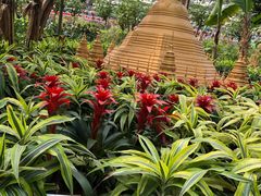 -南宫五洲植物乐园