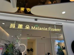 点击看大图 -玛莲朵·海菲秀冰珀科