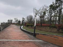 -上海长兴岛郊野公园