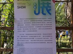 -野象谷景区