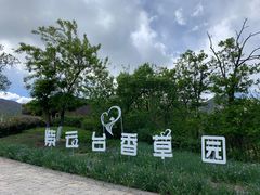 -紫云台香草园