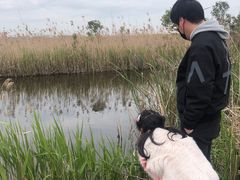 -南汇嘴观海公园