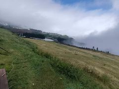 -玉舍国家森林公园