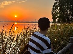 -东湖落雁景区