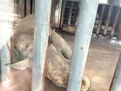 -沈阳森林动物园