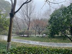 -杭州西溪喜来登度假大酒店