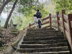 -广州白江湖森林公园