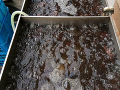 -段氏龙虾·烧烤·烤鱼(东书房路店)