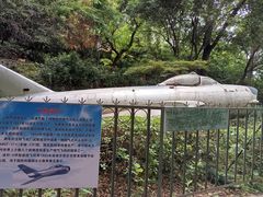 -伯先公园
