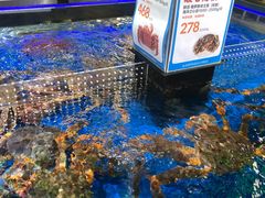 -盒马X会员店(王府井奥莱UP TOWN店)