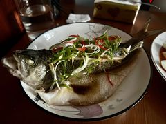 -金贝儿月嫂(高新尚品国际店)