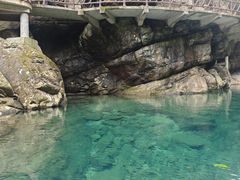-石台牯牛降景区