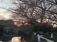 -杭州香格里拉·香宫中餐厅