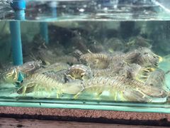 -班赞海鲜市场