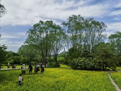-北坞公园
