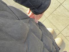 -爱新觉罗皇家博物院