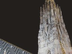 -斯蒂芬主教座堂(Stephansdom)