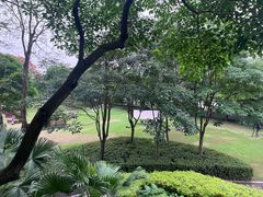 -顺峰山公园