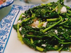 清炒小野菜-阿鹏故事云南野生菌火锅(人民路店)
