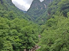 -青峰峡国家森林公园