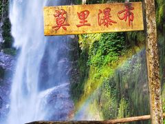 -莫里热带雨林景区