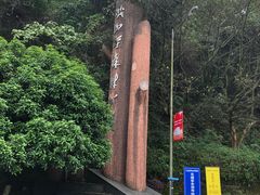 -铁山坪森林公园