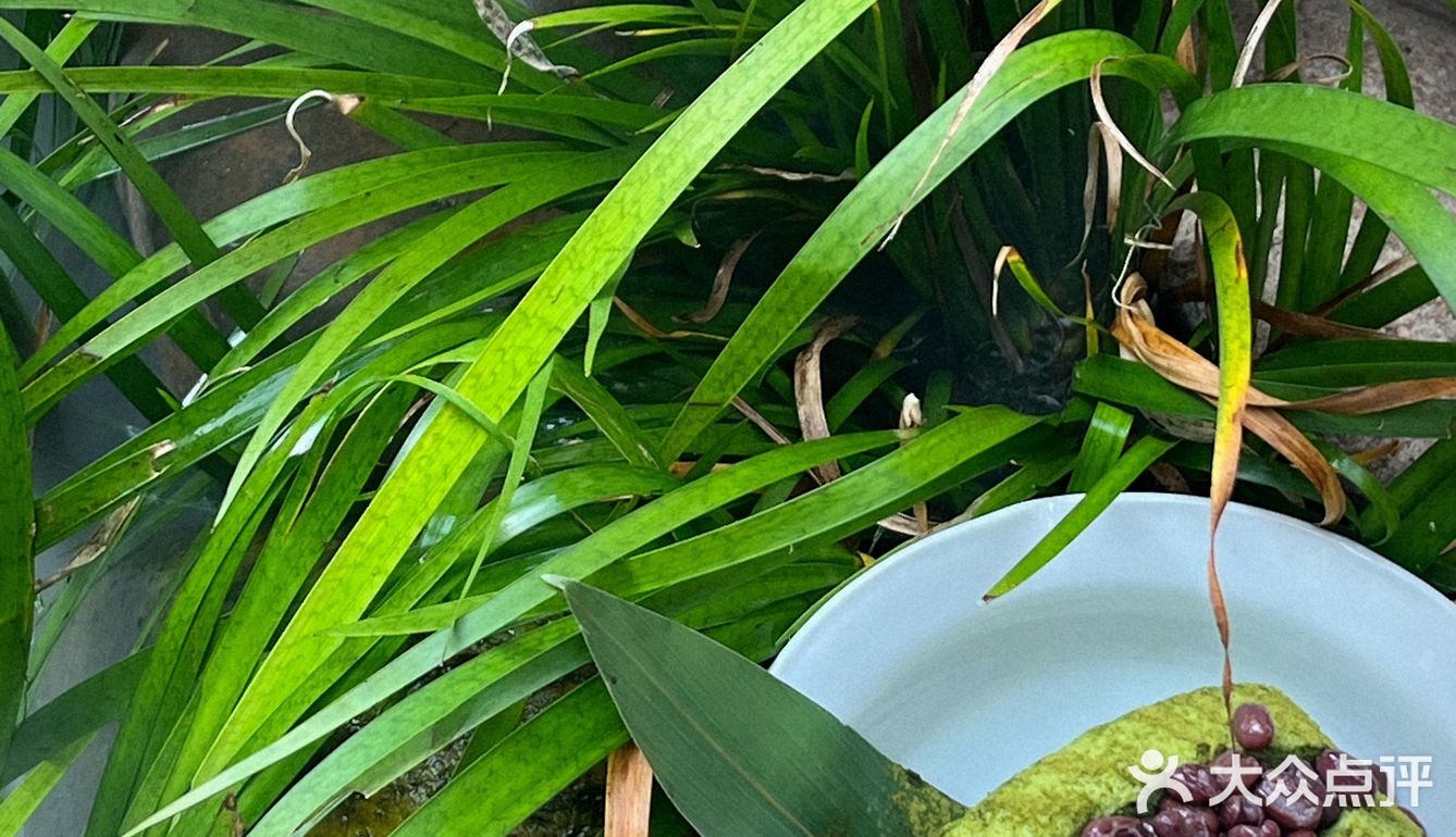 青岛的中国风小茶馆，我只服它