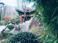 -竹子庵公园