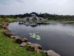 -上海海湾国家森林公园