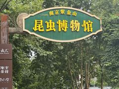 -Zsmart智尚酒店(南京夫子庙大光路店)