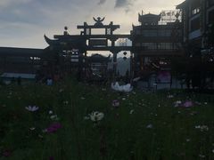 -印象鲵宴·张家界地标美食名片(溪布街店)