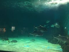 -常州海昌海洋探索馆