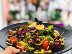wkate&nbsp;salad-威克特披萨汉堡