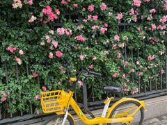 -汉口江滩-五福广场