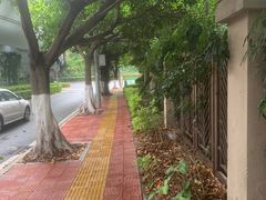 -厦门邮轮中心厦鼓码头(轮渡站)