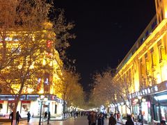 -哈尔滨中央大街华特酒店