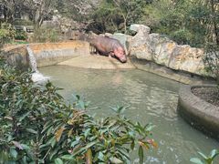 -宁波野生动物园