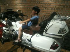 -郑享吃烧烤烩面(红专路店)