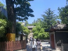 -崂山仰口游览区