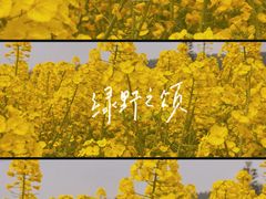 -苏州吴中太湖旅游区