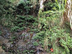 -梧桐山风景名胜区