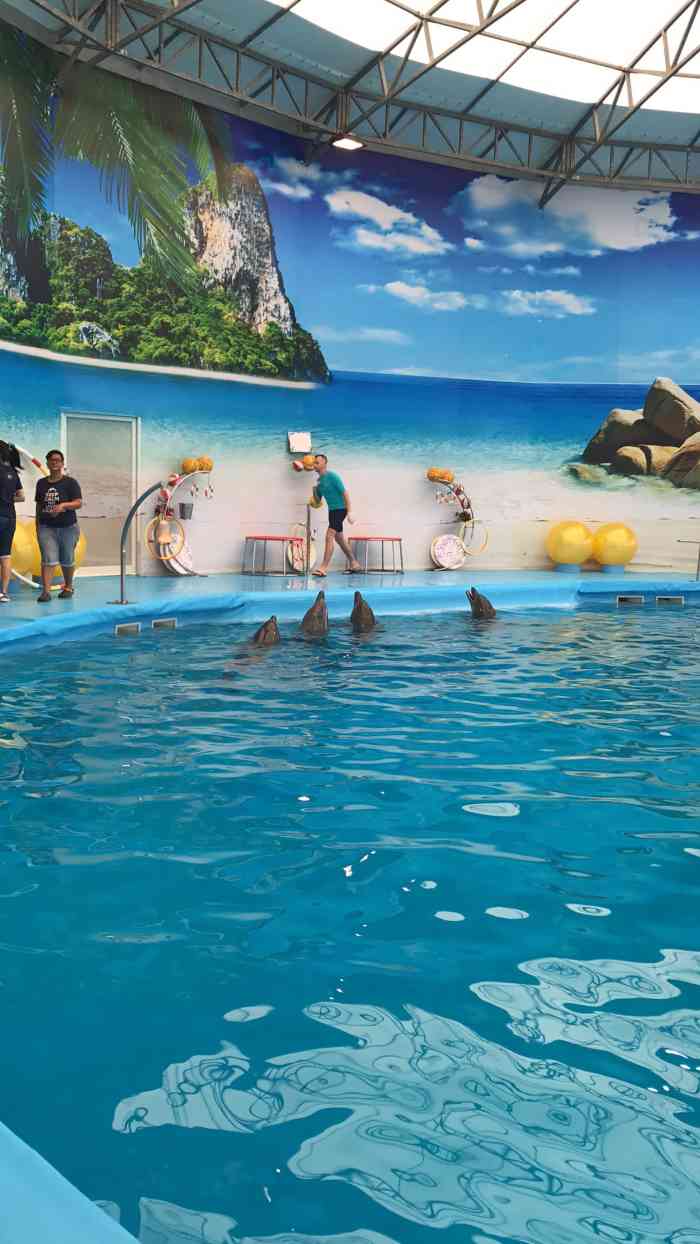 今年没有出国,想念去海边的日子,拿出之前的照片回忆点评一下,海洋馆