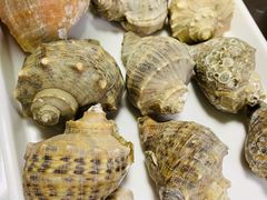 -大连海鲜斑鱼火锅(安平店)