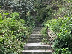 -午潮山国家森林公园