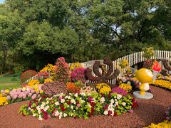 -上海共青森林公园