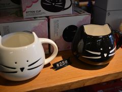 -猫咪博物馆(顶澳仔猫街店)